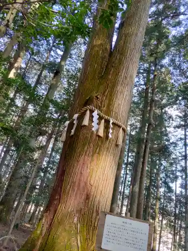 岩戸別神社(栃木県)