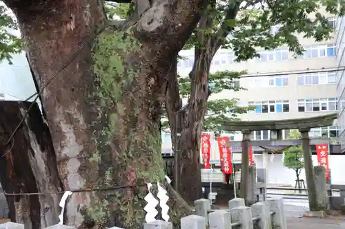 阿邪訶根神社の景色