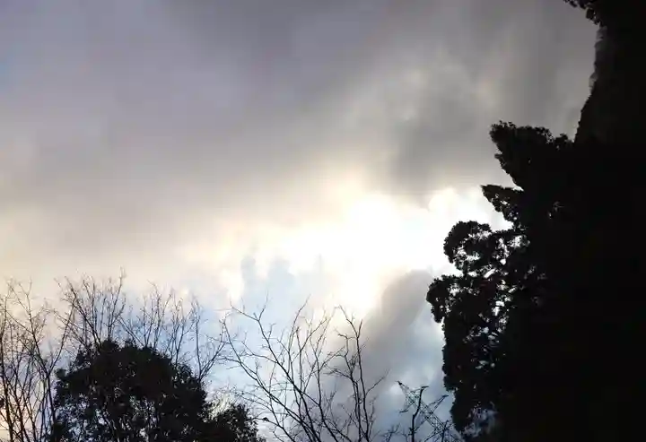 一本杉神社(島根県)