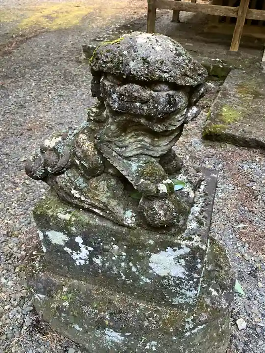 荊沢高龗神社の狛犬