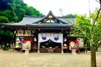 恩智神社の本殿・本堂
