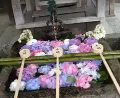 藤森神社の手水