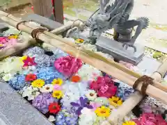 今市報徳二宮神社の手水