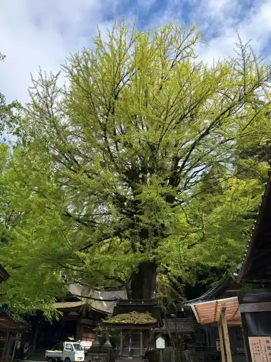 正法寺の{uncategorized: "未分類", other: "その他", undefined: "問題あり", building: "その他建物", grave: "お墓", sacred_gate: "鳥居", guardian: "狛犬", statue: "像", buddha: "仏像", history: "歴史", nature: "自然", garden: "庭園", animal: "動物", pagoda: "塔", temizu: "手水舎", mountain_gate: "山門・神門", sanctuary: "本殿・本堂", subordinate: "末社・摂社", art: "芸術", scenery: "景色", jizo: "地蔵", ema: "絵馬", goshuin: "御朱印", omikuji: "おみくじ", items: "授与品その他", amulet: "お守り", goshuincho: "御朱印帳", eats: "食事", festival: "お祭り", votive_dance: "神楽", shichigosan: "七五三参", wedding: "結婚式", experience: "体験その他", initially: "初詣", around: "周辺", anti_infection: "感染症対策"}