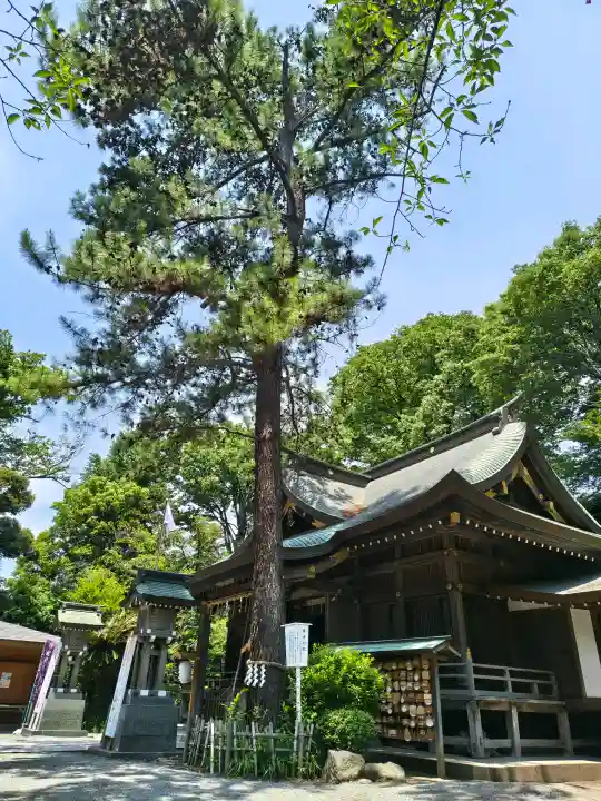 前鳥神社(神奈川県)
