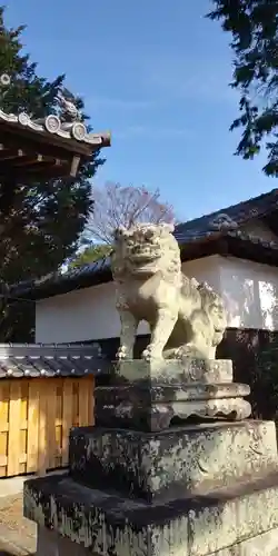 老杉神社の狛犬