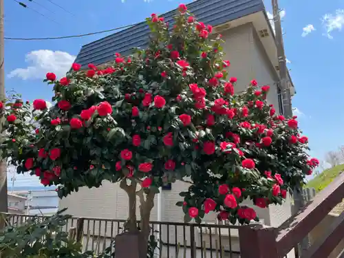 福島大神宮の自然