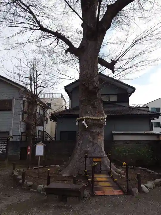 上戸田氷川神社(埼玉県)