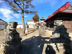 天神社の狛犬