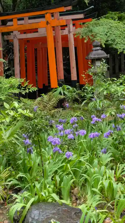 御霊神社(上御霊神社)(京都府)