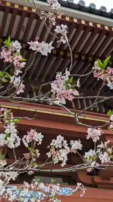 葛井寺(大阪府)