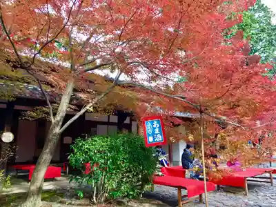 真正極楽寺(真如堂)(京都府)