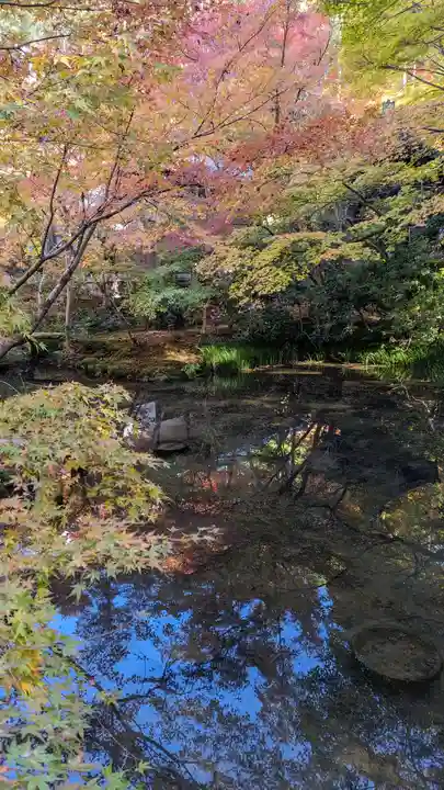 圓光寺(京都府)