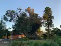 八幡神社の景色