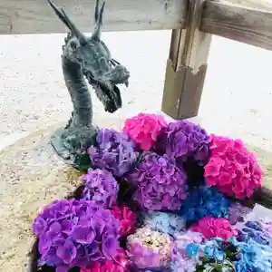 金井神社の手水舎(2020年07月31日(金) 02時18分05秒投稿)