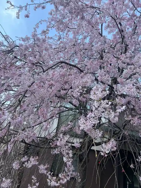 猿田彦神社の{uncategorized: "未分類", other: "その他", undefined: "問題あり", building: "その他建物", grave: "お墓", sacred_gate: "鳥居", guardian: "狛犬", statue: "像", buddha: "仏像", history: "歴史", nature: "自然", garden: "庭園", animal: "動物", pagoda: "塔", temizu: "手水舎", mountain_gate: "山門・神門", sanctuary: "本殿・本堂", subordinate: "末社・摂社", art: "芸術", scenery: "景色", jizo: "地蔵", ema: "絵馬", goshuin: "御朱印", omikuji: "おみくじ", items: "授与品その他", amulet: "お守り", goshuincho: "御朱印帳", eats: "食事", festival: "お祭り", votive_dance: "神楽", shichigosan: "七五三参", wedding: "結婚式", experience: "体験その他", initially: "初詣", around: "周辺", anti_infection: "感染症対策"}