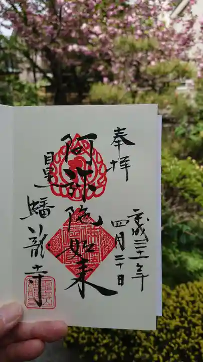 蟠龍寺の御朱印