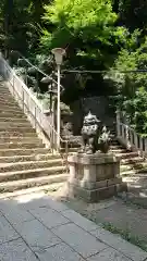 愛宕神社の狛犬