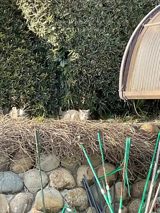 一心寺・一心禅寺(愛知県)