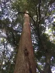 伊勢神宮内宮（皇大神宮）(三重県)