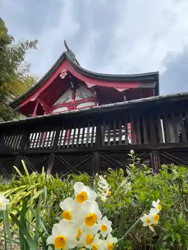 日出若宮八幡神社の本殿・本堂