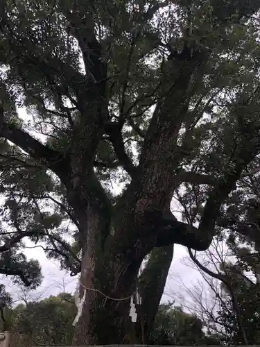 石清水八幡宮の自然