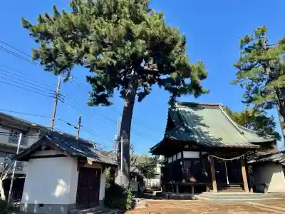 東伏見氷川神社の{uncategorized: "未分類", other: "その他", undefined: "問題あり", building: "その他建物", grave: "お墓", sacred_gate: "鳥居", guardian: "狛犬", statue: "像", buddha: "仏像", history: "歴史", nature: "自然", garden: "庭園", animal: "動物", pagoda: "塔", temizu: "手水舎", mountain_gate: "山門・神門", sanctuary: "本殿・本堂", subordinate: "末社・摂社", art: "芸術", scenery: "景色", jizo: "地蔵", ema: "絵馬", goshuin: "御朱印", omikuji: "おみくじ", items: "授与品その他", amulet: "お守り", goshuincho: "御朱印帳", eats: "食事", festival: "お祭り", votive_dance: "神楽", shichigosan: "七五三参", wedding: "結婚式", experience: "体験その他", initially: "初詣", around: "周辺", anti_infection: "感染症対策"}