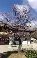 比佐豆知神社(三重県)