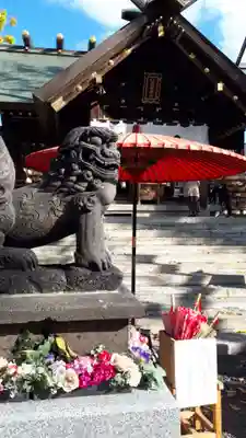 札幌諏訪神社の七五三参