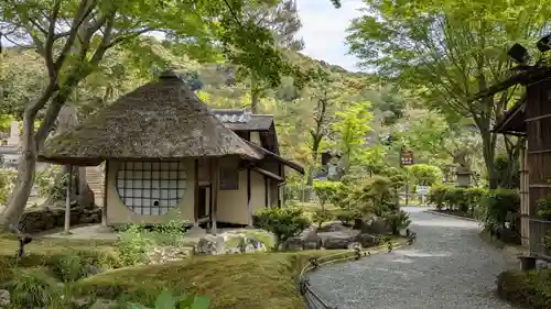 高台寺（高台寿聖禅寺・高臺寺）(京都府)