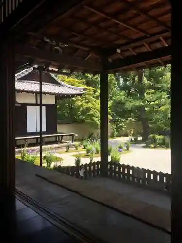 廬山寺（廬山天台講寺）の庭園