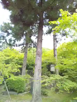 酬恩庵一休寺(京都府)