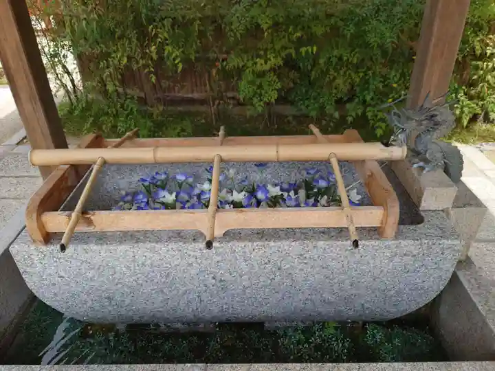 晴明神社の手水舎