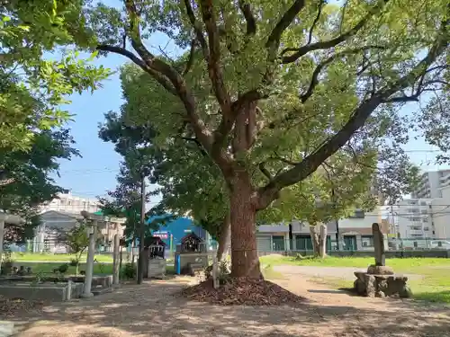 竹渕神社(大阪府)