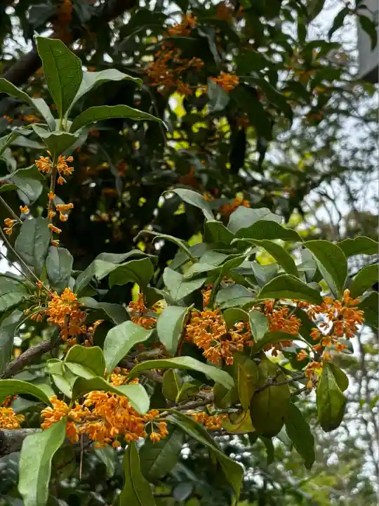 宮山神社(神奈川県)