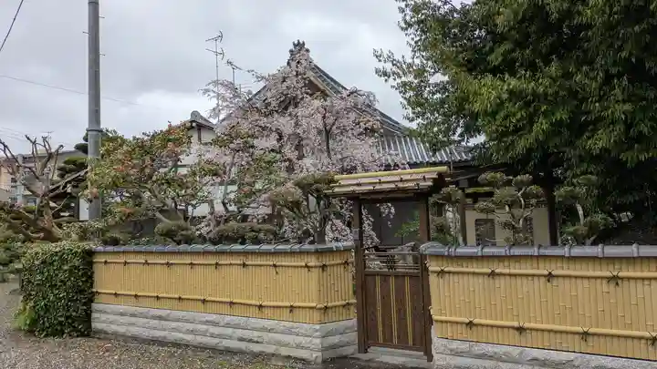圓藏院(円蔵院)(京都府)