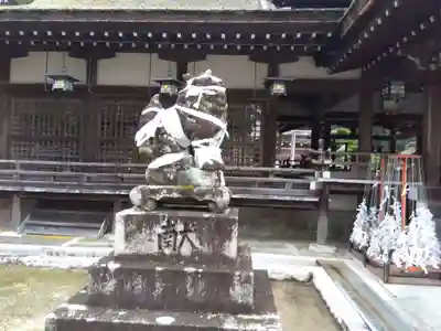 兵主大社の狛犬