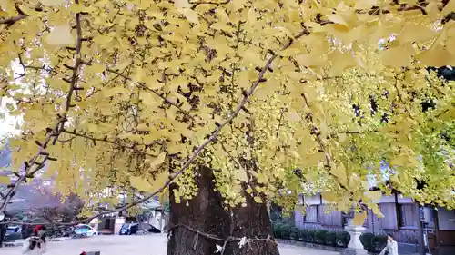 丹生酒殿神社の自然