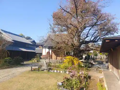 光源寺(東京都)