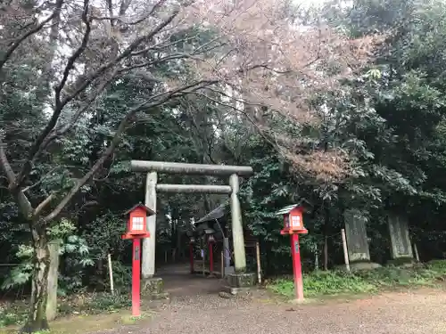 鷲宮神社の鳥居