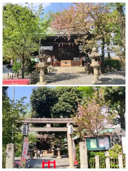 七社神社の{uncategorized: "未分類", other: "その他", undefined: "問題あり", building: "その他建物", grave: "お墓", sacred_gate: "鳥居", guardian: "狛犬", statue: "像", buddha: "仏像", history: "歴史", nature: "自然", garden: "庭園", animal: "動物", pagoda: "塔", temizu: "手水舎", mountain_gate: "山門・神門", sanctuary: "本殿・本堂", subordinate: "末社・摂社", art: "芸術", scenery: "景色", jizo: "地蔵", ema: "絵馬", goshuin: "御朱印", omikuji: "おみくじ", items: "授与品その他", amulet: "お守り", goshuincho: "御朱印帳", eats: "食事", festival: "お祭り", votive_dance: "神楽", shichigosan: "七五三参", wedding: "結婚式", experience: "体験その他", initially: "初詣", around: "周辺", anti_infection: "感染症対策"}
