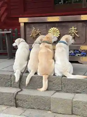 武蔵御嶽神社(東京都)