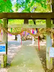 下野 星宮神社(栃木県)