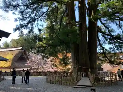 戸隠神社中社の周辺