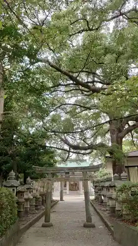 白髭神社(静岡県)
