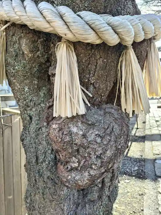 小室浅間神社(山梨県)