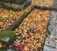 観音寺(滋賀県)