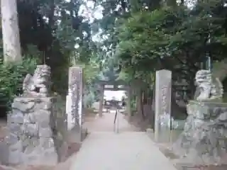 木曽三社神社の狛犬