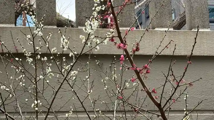 難波神社(大阪府)