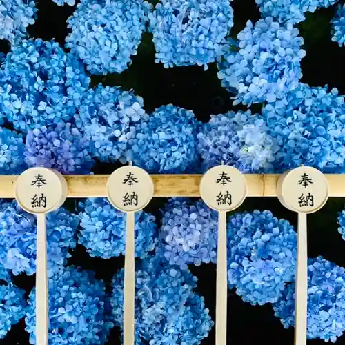 土津神社｜こどもと出世の神さまの手水舎